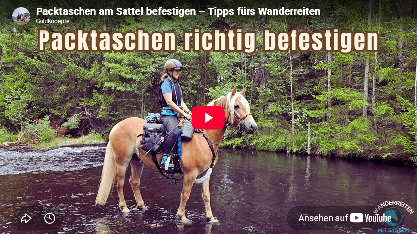 Neuer Beitrag in der Toolbox